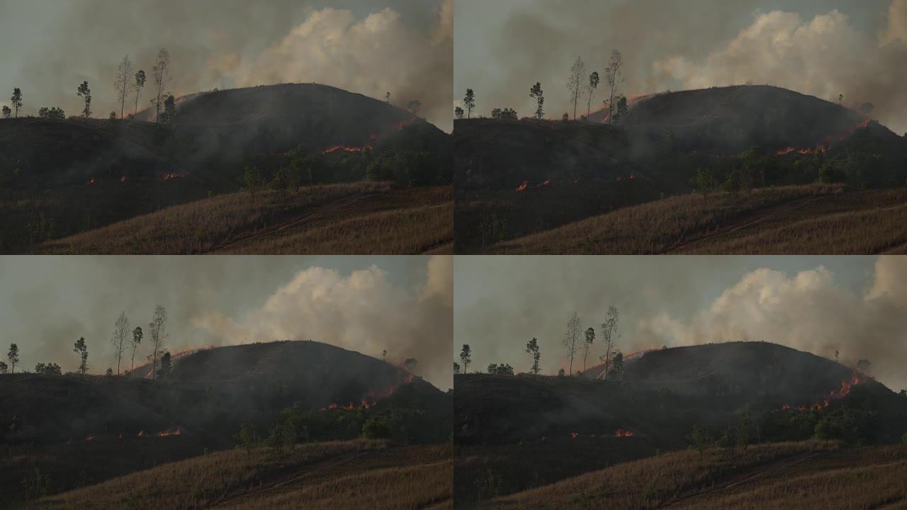 4k森林大火或刀耕火种农业概念。