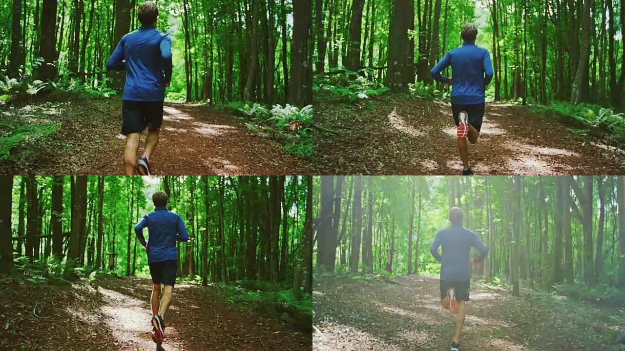 森林里的奔跑