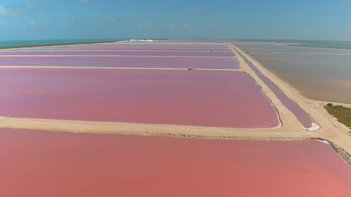 空中: 墨西哥尤卡坦州拉斯科拉达斯令人惊叹的粉红色盐沼