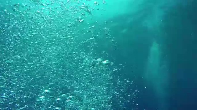 水下: 许多小气泡上升到光滑的海洋表面