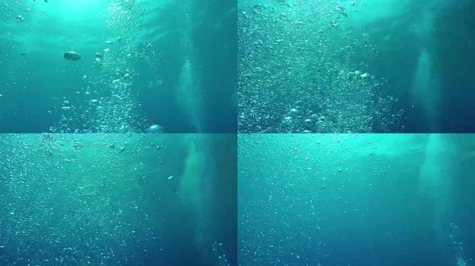 水下: 许多小气泡上升到光滑的海洋表面