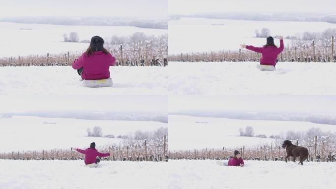 4k顽皮的女孩在白雪皑皑的葡萄园斜坡上雪橇，慢动作