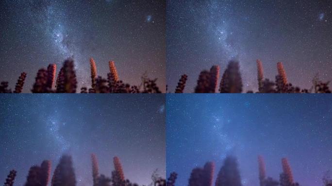 新西兰坎特伯雷特卡波湖的银河和麦哲伦云与银河恒星延时运动，放大运动