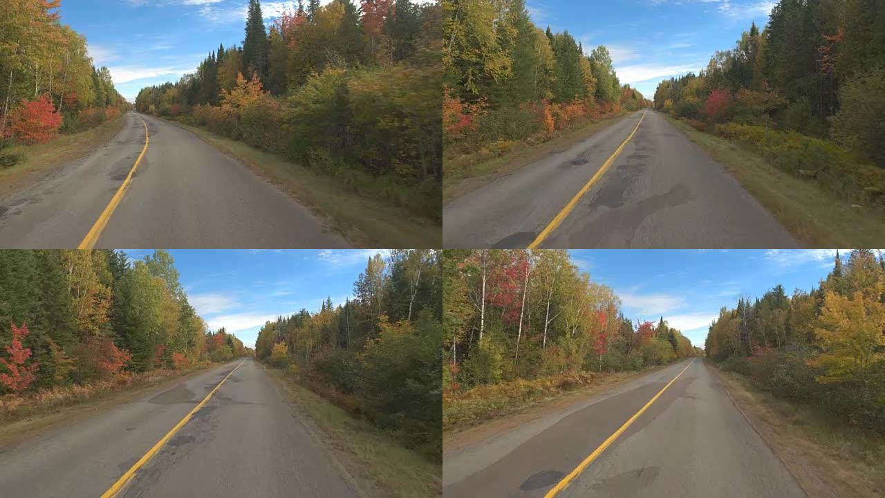 FPV: 晴天在空旷的高速公路上穿越混合的秋叶森林