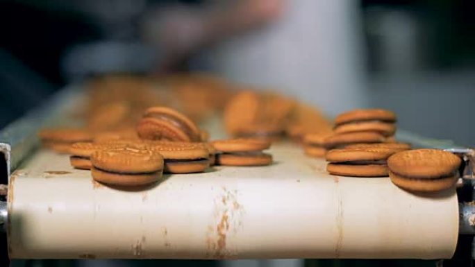 甜蜜面包店的工人在生产线上工作。食品工厂的面包店生产。