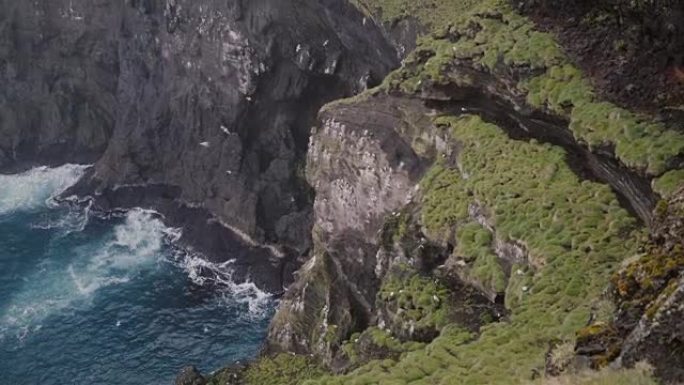 海鸥在悬崖边飞舞的美丽景观，冰岛的黑色火山山覆盖了苔藓