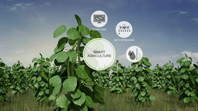 智能农业，植物绿地上的圆形信息图形图标，物联网。第四次工业革命。