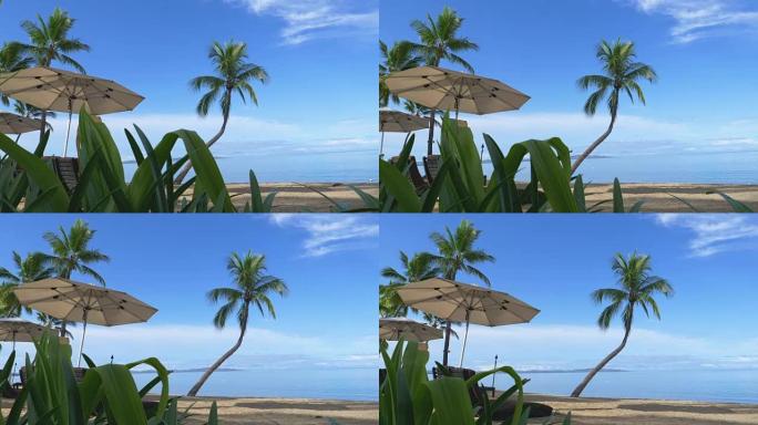 美丽的豪华酒店躺椅躺在令人惊叹的热带海滩上