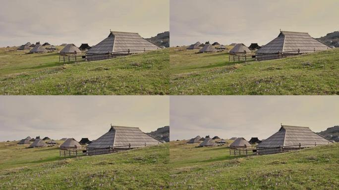斯洛文尼亚Velika Planina，herdsmins定居点，传统的带瓦小屋中的春季番红花女士