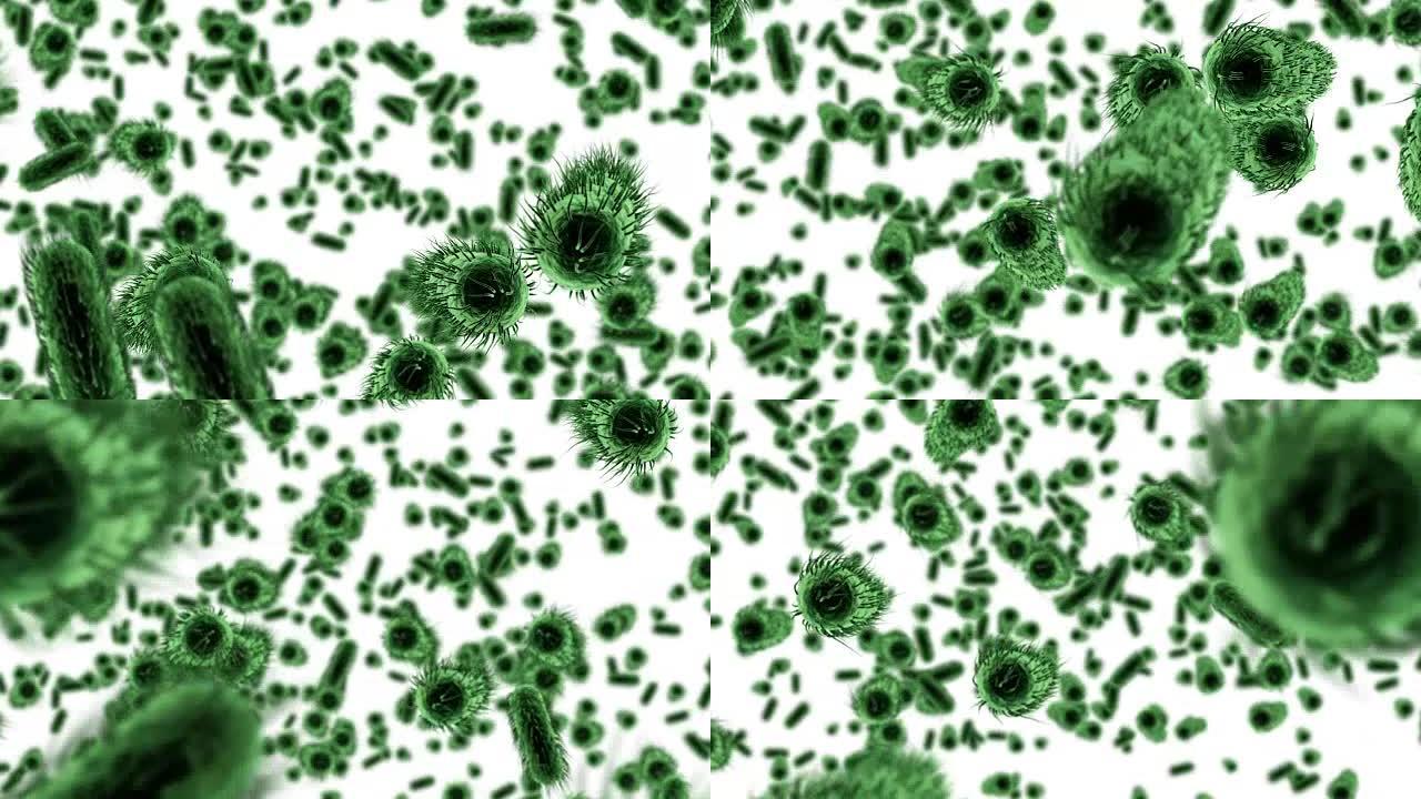 数字生成的细菌细胞在白色背景下流动