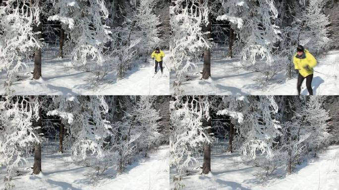 越野滑雪运动员