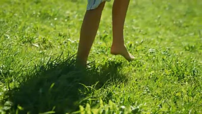 女人的腿在绿色的夏日草地上行走的特写镜头。她穿着时髦的衣服，拿着手机。夏天快乐。