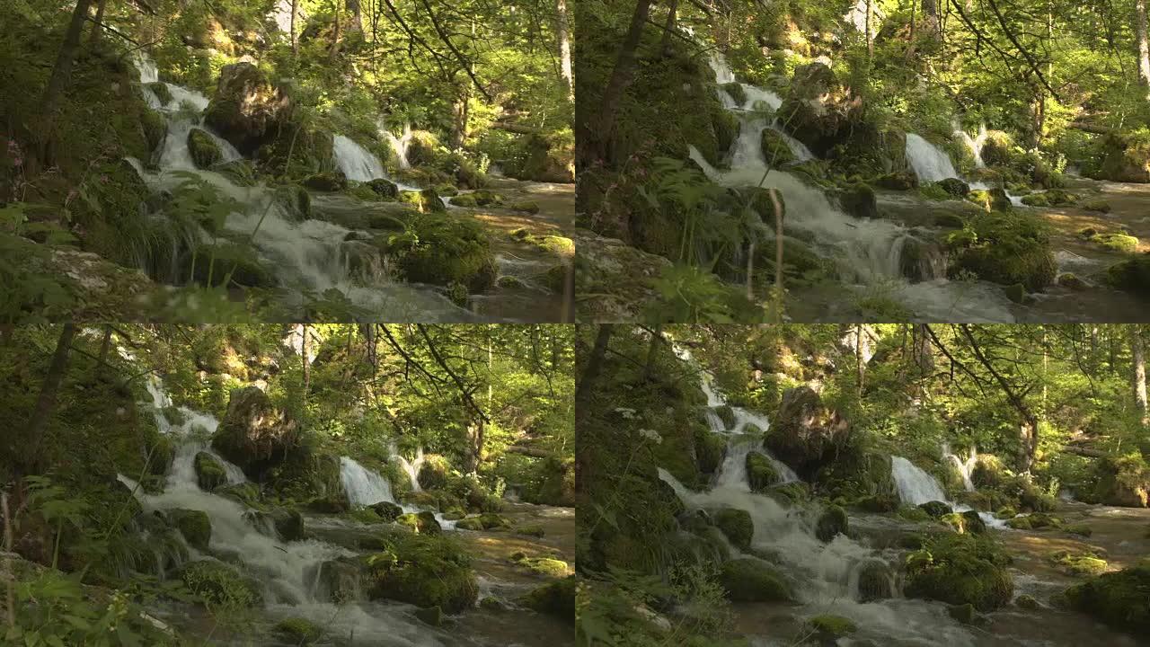 春天，白水河瀑布流经郁郁葱葱的绿色森林