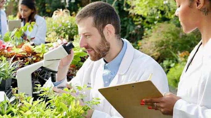 自信的男性植物学家检查苗圃中的植物样本