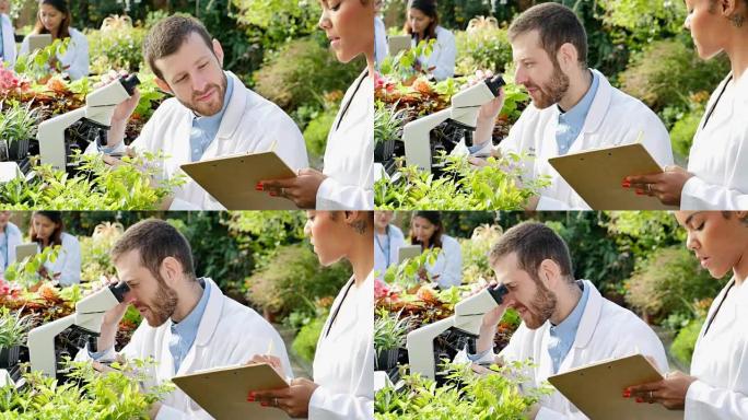 自信的男性植物学家检查苗圃中的植物样本