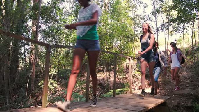 朋友们在森林里走过一座小木桥