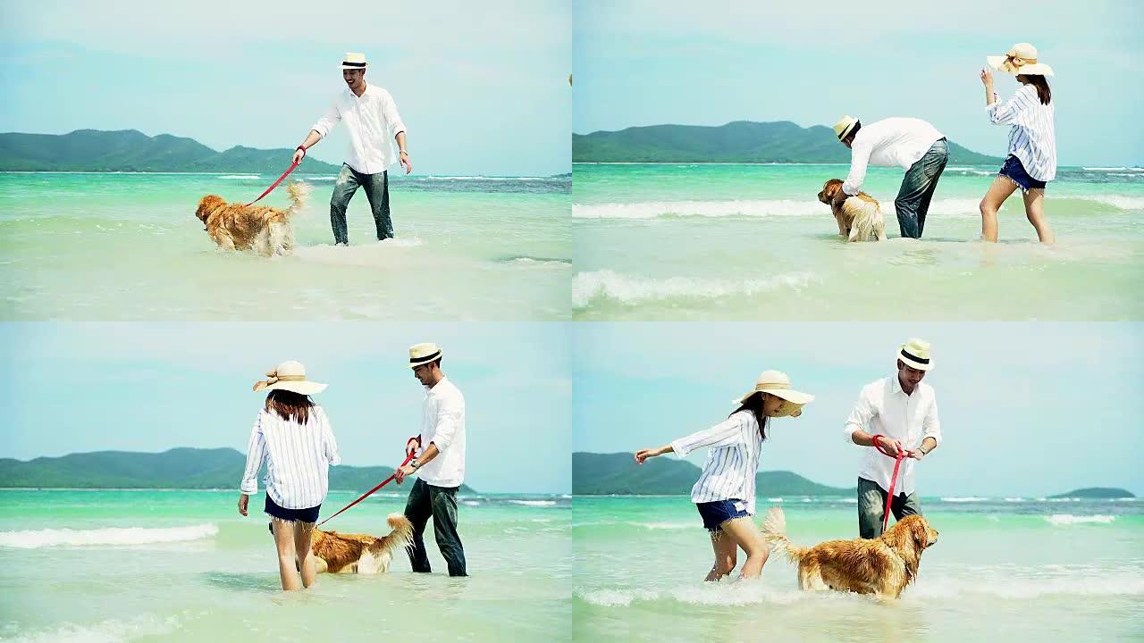 年轻美丽的情侣和他们的狗在海边玩耍。