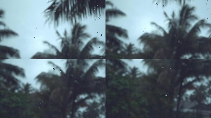 慢动作，dop: 小雨滴落在高耸的棕榈树和遥远的大海上。