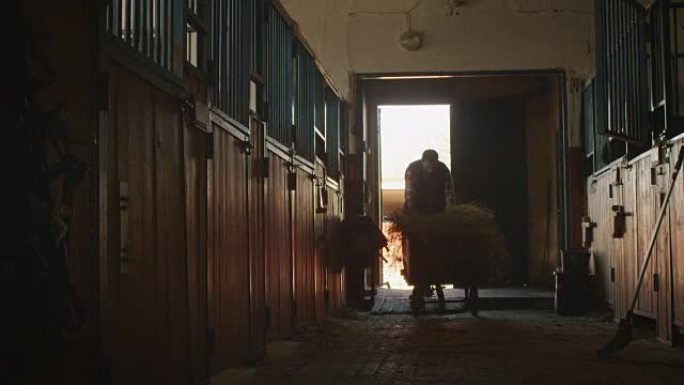 人类正在将一辆装有干草的手推车滚动到马stable中，以喂马。