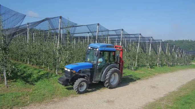 鸟瞰图: 带网的果园中的拖拉机