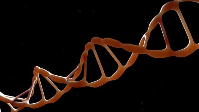 脱氧核糖核酸链。背光。相机在DNA分子周围飞行。基因工程科学概念。飞行粒子。在黑色背景上。3D动画。