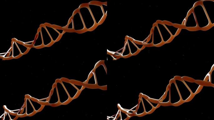 脱氧核糖核酸链。背光。相机在DNA分子周围飞行。基因工程科学概念。飞行粒子。在黑色背景上。3D动画。