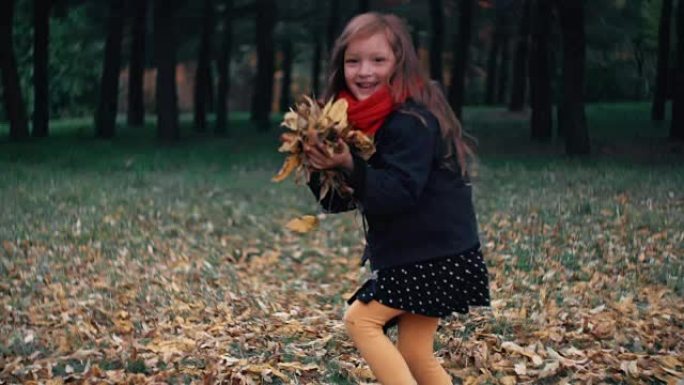 搞笑开朗美丽可爱的小女孩特写收集黄色秋叶扔起来