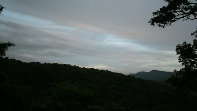 蒙特维德的雨林蒙特维德的雨林