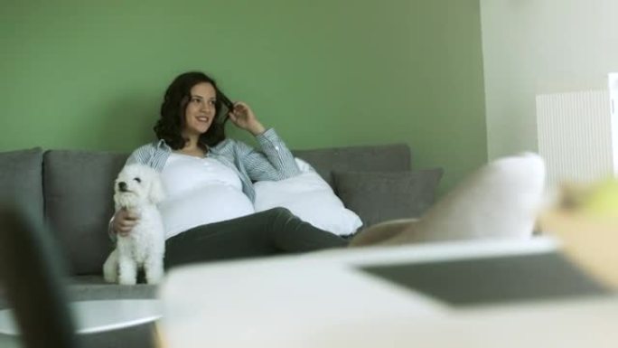 怀孕的年轻女子，狗坐在家里的沙发上