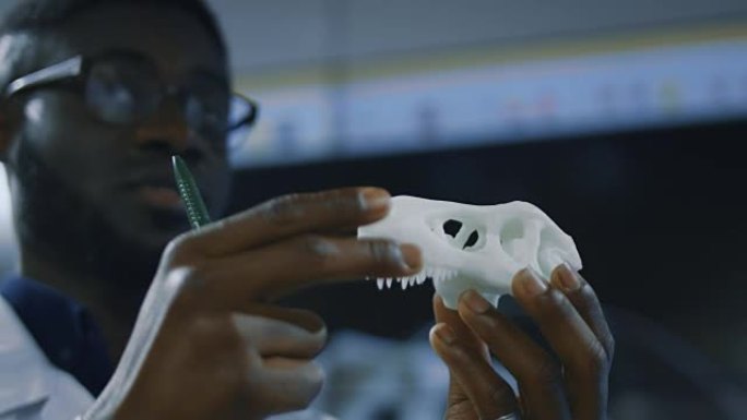 古生物学家探索3d打印的恐龙模型