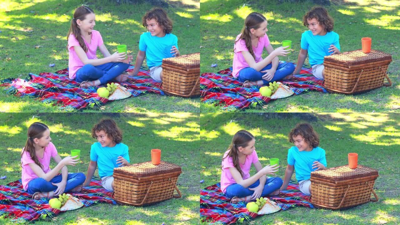 快乐的孩子在公园野餐