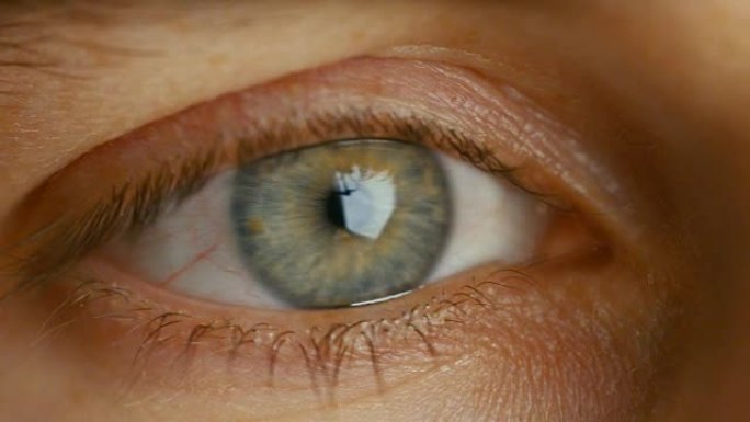 眨眼男人眼睛的特写。它是灰色的，有棕色的点。扩张虹膜。以暖色拍摄。