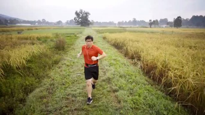 TS亚洲男子早上在稻田里奔跑