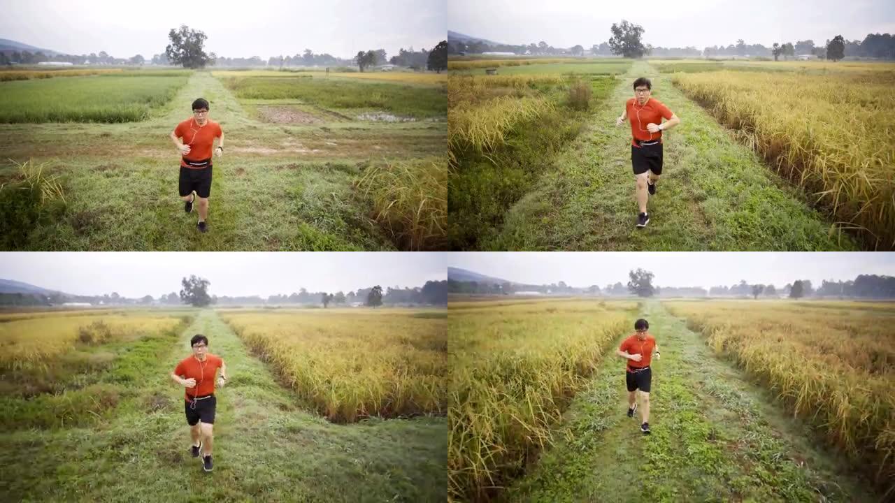 TS亚洲男子早上在稻田里奔跑