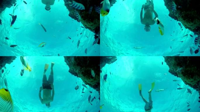 水下慢动作: 人与热带鱼一起浮潜异国珊瑚礁