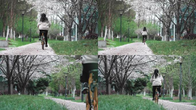 女孩骑自行车穿过浪漫樱花