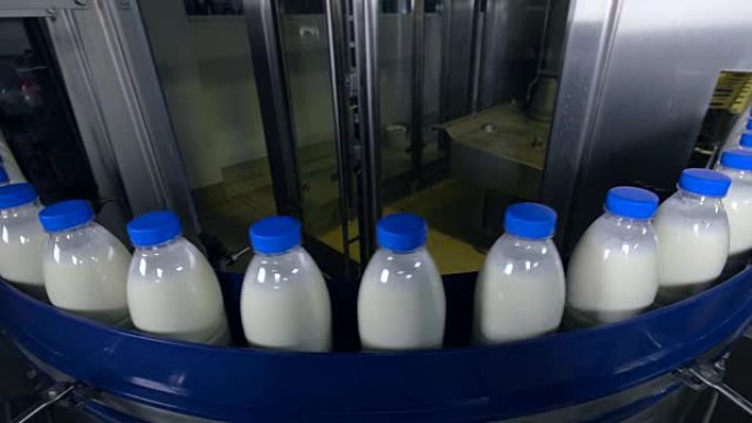 牛奶厂。在工业输送机上移动的奶瓶