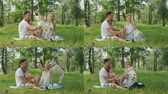 慢动作: 田园诗般的家庭坐在公园的毯子上，与狗玩耍