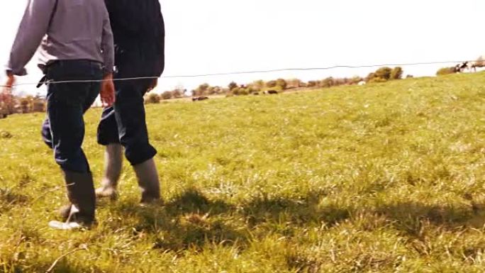 养牛户与一名男子在田里散步