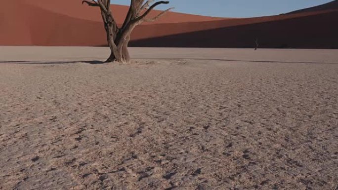 纳米布-瑙克鲁夫特国家公园内死去的vlei树木的粘土表面的4k平移镜头