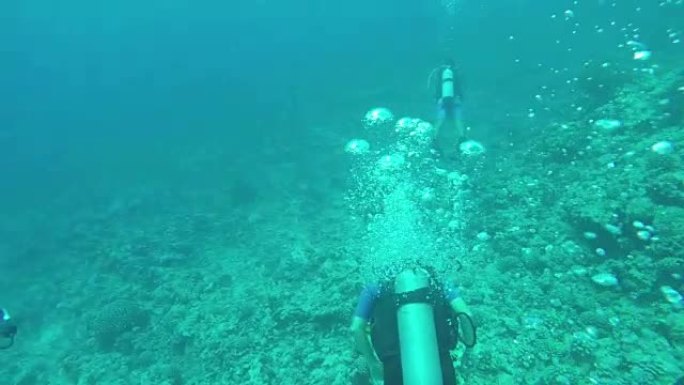 水下: 潜水员在令人惊叹的多样化岩石珊瑚礁上潜水