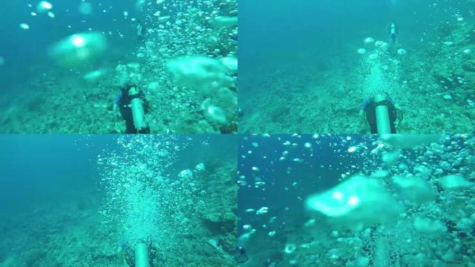 水下: 潜水员在令人惊叹的多样化岩石珊瑚礁上潜水
