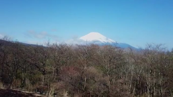 鸟瞰图: 富士山