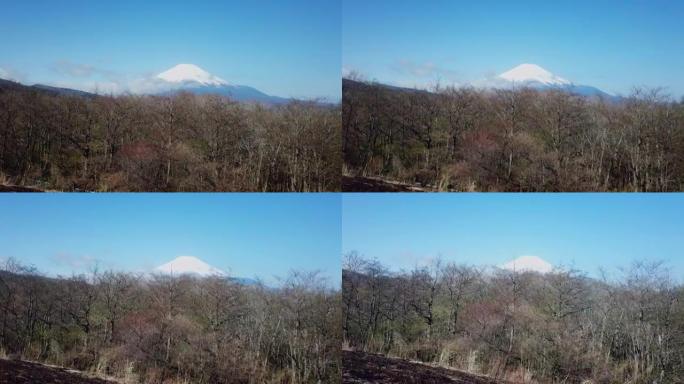 鸟瞰图: 富士山