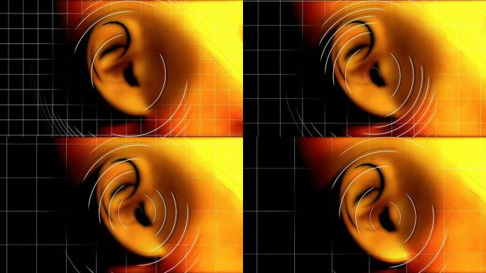 耳朵听觉波耳朵听觉波听力