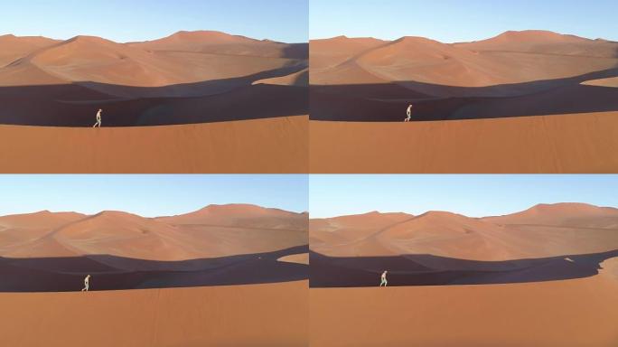 在纳米布沙漠中巨大沙丘之一的山顶上行走的男性游客的空中平移视图