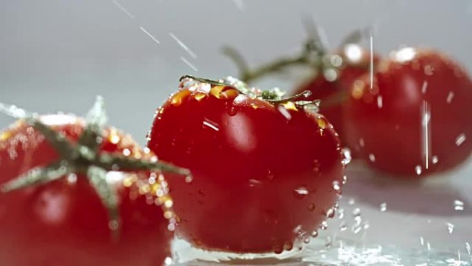 用水淋浴西红柿