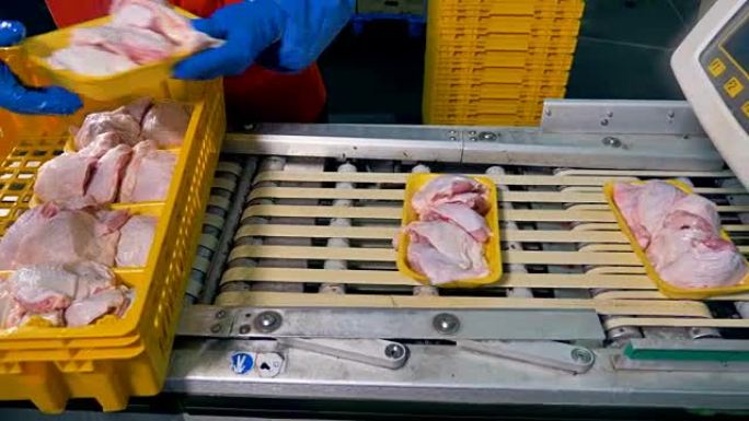 一名工人将装满鸡胸肉的黄色托盘放在传送带上。4K。