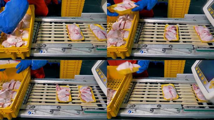 一名工人将装满鸡胸肉的黄色托盘放在传送带上。4K。