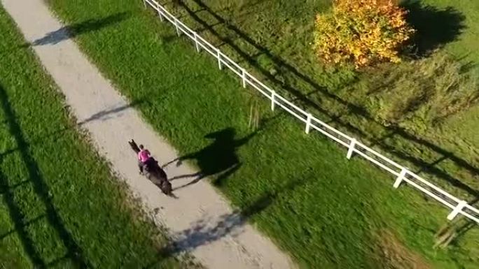 空中: 女性骑马在马场的人行道上骑着强大的种马